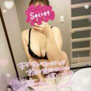 ヒメ日記 2025/04/04 09:04 投稿 みおり マダム可憐