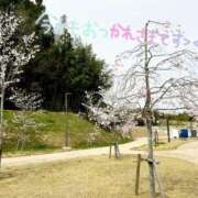 ヒメ日記 2025/04/05 15:12 投稿 みおり マダム可憐