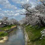 ヒメ日記 2025/04/14 09:55 投稿 みおり マダム可憐