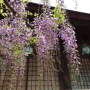 ヒメ日記 2025/04/23 12:01 投稿 みおり マダム可憐