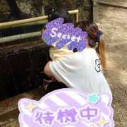 ヒメ日記 2025/04/24 11:37 投稿 みおり マダム可憐