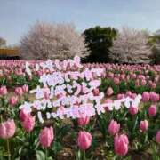 ヒメ日記 2025/04/27 18:55 投稿 みおり マダム可憐