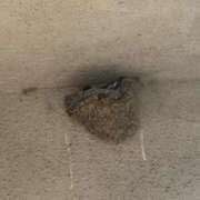 ヒメ日記 2025/05/27 06:07 投稿 みおり マダム可憐