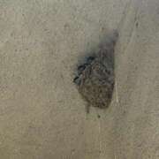 ヒメ日記 2025/06/25 14:06 投稿 みおり マダム可憐