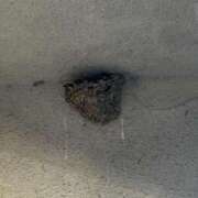 ヒメ日記 2025/06/28 10:30 投稿 みおり マダム可憐