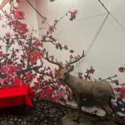 ヒメ日記 2025/07/20 07:17 投稿 みおり マダム可憐