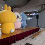 ヒメ日記 2025/08/11 15:51 投稿 みおり マダム可憐