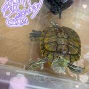 ヒメ日記 2025/09/09 11:43 投稿 みおり マダム可憐