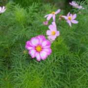 ヒメ日記 2025/10/22 10:24 投稿 みおり マダム可憐