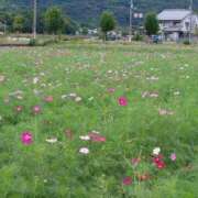 ヒメ日記 2025/10/23 09:28 投稿 みおり マダム可憐