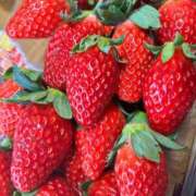 ヒメ日記 2025/12/07 20:37 投稿 みおり マダム可憐