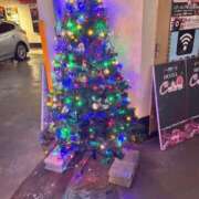 ヒメ日記 2025/12/14 13:18 投稿 みおり マダム可憐