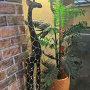 ヒメ日記 2026/01/15 09:37 投稿 みおり マダム可憐