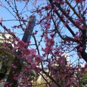 ヒメ日記 2026/02/13 21:36 投稿 みおり マダム可憐