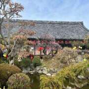 ヒメ日記 2026/03/07 08:32 投稿 みおり マダム可憐