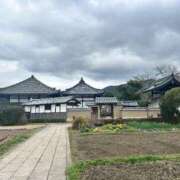 ヒメ日記 2026/03/10 09:16 投稿 みおり マダム可憐