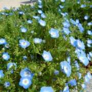 ヒメ日記 2026/03/24 19:17 投稿 みおり マダム可憐