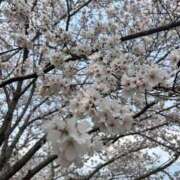 ヒメ日記 2026/03/30 05:33 投稿 みおり マダム可憐