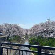 ヒメ日記 2026/04/03 17:08 投稿 みおり マダム可憐