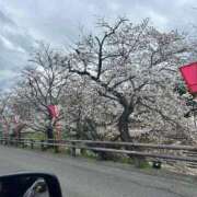 ヒメ日記 2026/04/05 06:14 投稿 みおり マダム可憐