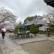 ヒメ日記 2026/04/10 10:55 投稿 みおり マダム可憐