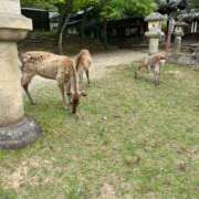 ヒメ日記 2026/05/10 09:25 投稿 みおり マダム可憐
