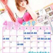 ヒメ日記 2025/03/23 12:32 投稿 ゆうき パリス雄琴店