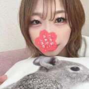 ヒメ日記 2025/04/23 16:02 投稿 ゆうき パリス雄琴店