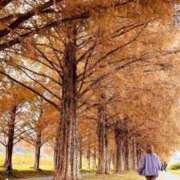 ヒメ日記 2025/11/20 15:17 投稿 ゆうき パリス雄琴店