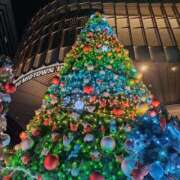 ヒメ日記 2025/12/19 23:15 投稿 夏絵(なつえ) 人妻出逢い会 百合の園 山の手本店