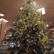 ヒメ日記 2025/12/25 12:46 投稿 夏絵(なつえ) 人妻出逢い会 百合の園 山の手本店