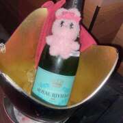 ヒメ日記 2025/11/01 16:05 投稿 あさ クリステル