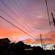 ヒメ日記 2025/04/17 13:52 投稿 小平ほの THE痴漢電車.com