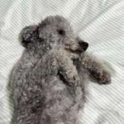 ヒメ日記 2025/05/03 07:33 投稿 小平ほの THE痴漢電車.com