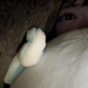 ヒメ日記 2025/05/18 02:36 投稿 小平ほの THE痴漢電車.com