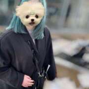 ヒメ日記 2025/06/09 12:23 投稿 小平ほの THE痴漢電車.com