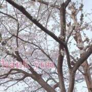 ヒメ日記 2025/04/06 17:56 投稿 あんず One More 奥様　西船橋店