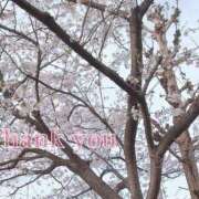 ヒメ日記 2025/04/10 11:46 投稿 あんず One More 奥様　西船橋店