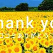 ヒメ日記 2026/01/28 07:33 投稿 あんず One More 奥様　西船橋店