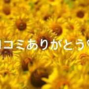 ヒメ日記 2026/05/05 15:21 投稿 あんず One More 奥様　西船橋店