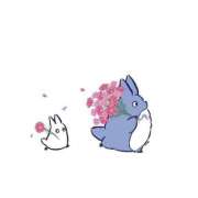 ヒメ日記 2026/01/29 01:23 投稿 ひめか CHERRY WEST(チェリーウエスト)