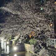 ヒメ日記 2025/04/03 23:01 投稿 音羽 ゆうひ Canx2京都店