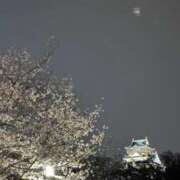 ヒメ日記 2026/04/24 12:07 投稿 音羽 ゆうひ Canx2京都店