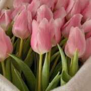 ヒメ日記 2025/06/18 19:58 投稿 れいら♡SSS級巨乳美女 if(イフ) 中村店