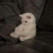 ヒメ日記 2025/07/05 14:58 投稿 れいら♡SSS級巨乳美女 if(イフ) 中村店