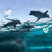 ヒメ日記 2025/12/09 01:22 投稿 ねね 大阪回春性感エステティーク谷九店