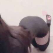 ヒメ日記 2026/02/26 23:02 投稿 ねね 大阪回春性感エステティーク谷九店