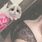 ヒメ日記 2025/08/25 16:20 投稿 れおん 千葉サンキュー