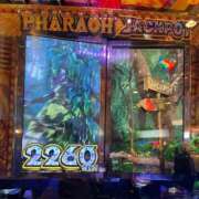 ヒメ日記 2025/03/06 15:24 投稿 朱音瑠璃 お姉さんCLUB