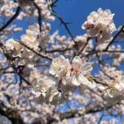 ヒメ日記 2025/05/08 21:49 投稿 朱音瑠璃 お姉さんCLUB